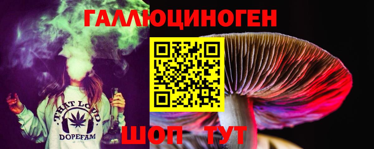 закладка  Вход с VPN  Саратов  Псилоцибиновые грибы ЛСД  Галлюциногенные грибы Psilocybine cubensis 