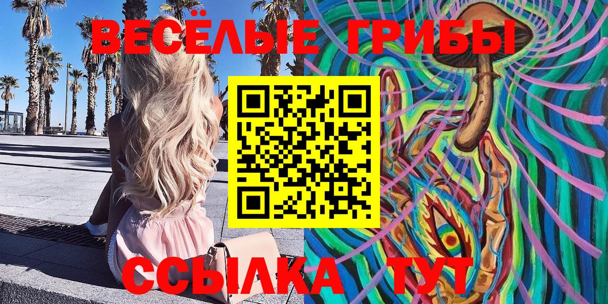 Псилоцибиновые грибы мухоморы Саратов